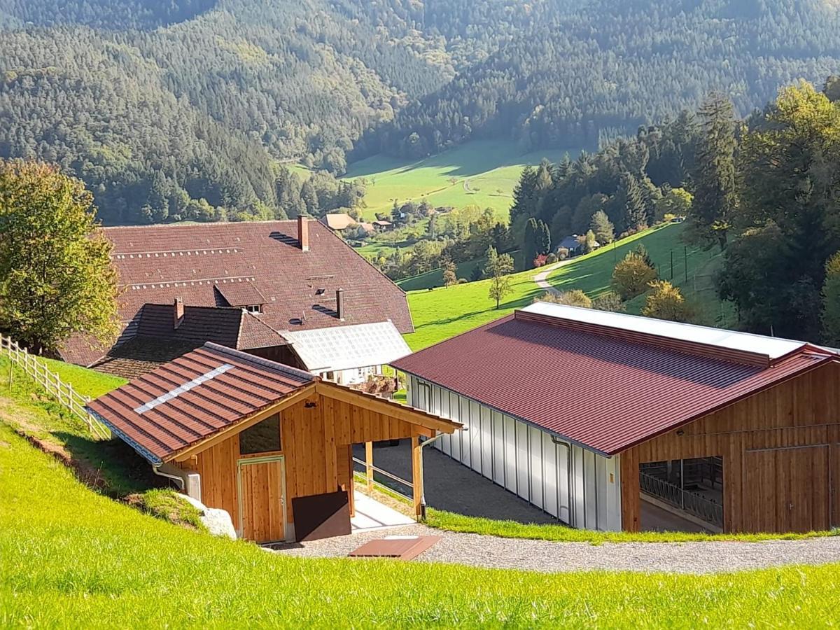 Blumbauernhof Villa Gutach Luaran gambar